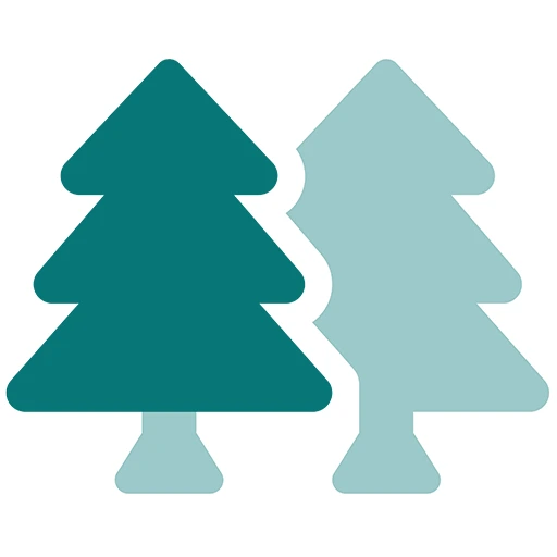 Twee groene bosbomen naast elkaar