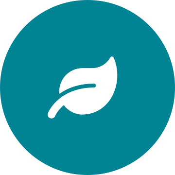White leaf icon on a round teal background