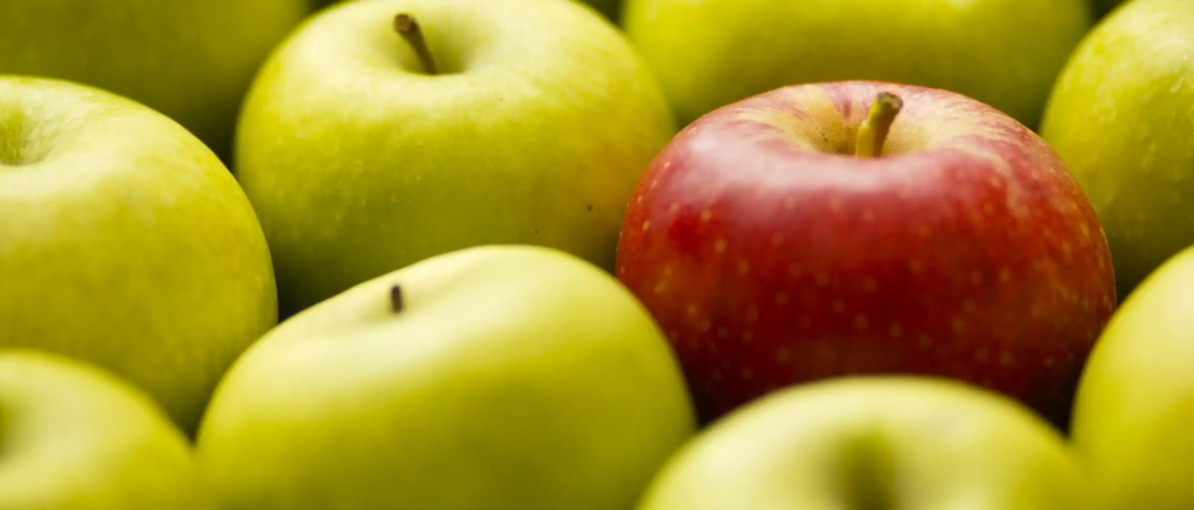 tips-to-cut-food-waste-blog-image
